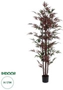 20039 GloboStar®  Artificial Garden BLOODLEAF BAMBOO 20039 Τεχνητό Διακοσμητικό Φυτό Αιματόφυλλο Μπαμπού Υ170cm