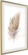 Αφίσα - Lost Feather (Beige) - 40x60 - Χρυσό - Με πασπαρτού