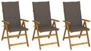 vidaXL Καρέκλες Κήπου Πτυσσόμενες 3 τεμ. από Ξύλο Ακακίας με Μαξιλάρια