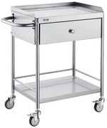 VEVOR Medical Cart, 2 Layers Stainless Steel Cart 220 lbs Weight Capacity, Lab Utility Cart with 360° Silent Wheels and a Drawer for Lab, Clinic, Kitchen, Salon