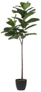 Artekko Tree Πράσινη Πλαστική Τεχνητή Συκιά σε Μαύρο Κασπώ (65x40x150)cm Artekko 29876
