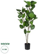 Artificial Garden POLYSCIAS BALFOURIANA TREE 20374 Τεχνητό Διακοσμητικό Φυτό Πολυσκιά Υ110cm Globostar 20374