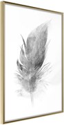 Αφίσα - Lost Feather (Grey) - 40x60 - Χρυσό - Χωρίς πασπαρτού