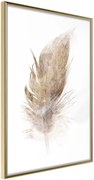 Αφίσα - Lost Feather (Beige) - 40x60 - Χρυσό - Χωρίς πασπαρτού