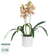 GloboStar® Artificial Garden CHAMPAGNE CHERRY CYMBIDIUM 21404 Διακοσμητικό Φυτό Σαμπανιζέ Κυμβίδιο Υ60cm