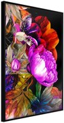 Αφίσα - Flower Sonata - 40x60 - Μαύρο - Χωρίς πασπαρτού