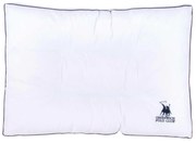 ΑΝΑΤΟΜΙΚΟ ΜΑΞΙΛΑΡΙ ΥΠΝΟΥ 50x70cm GREENWICH POLO CLUB - ESSENTIAL 2350