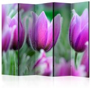 Διαχωριστικό με 5 τμήματα - Purple spring tulips II [Room Dividers]