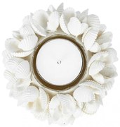 Κηροπήγιο Από Κοχύλια The Flower Power BABL014W-S D7 White Bazar Bizar Shell