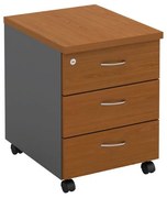 WOODWELL ΕΟ124,4ΣΥΡΤΑΡΙΕΡΑ-Α Τροχήλατη, Με 3 συρτάρια, Απόχρωση Dark Grey - Cherry 40x48x56cm ΕΟ124,4