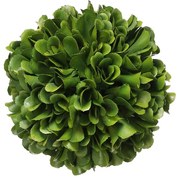 Artekko Artekko Boxwood Τεχνητή Μπάλα Πύξος Πλαστικό Πράσινο (10x10x10)cm 29399