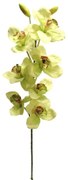 Flower Eladro Ορχιδέα Σιμπιντιουμ 1221801-GR