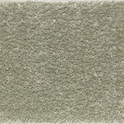 Μοκέτα Elite Green Ns Carpets 400X