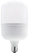 LED P129 E27 230V 39W 6000K 220° 4250Lm Ra80 IP65 - 6000K - P12939CW