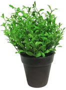 Τεχνητό Φυτό Αρωματικό 19 εκ. 9650-6 Supergreens-9650-6-Πράσινο 9650-6
