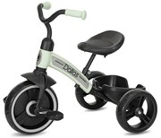 LORELLI ΤΡΙΚΥΚΛΟ ΠΟΔΗΛΑΤΟ DALLAS MINT 10050502520