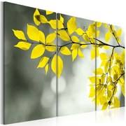 Πίνακας - Gold sprig - 120x80