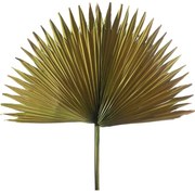 Supergreens Τεχνητό Φύλλο Φοίνικας "Serenoa" Πράσινο 35x35x60 εκ