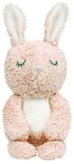 Λούτρινο Bimle Rabbit 54-20014011 22cm Rose Franck &amp; Fischer