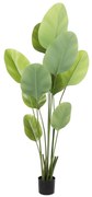 Supergreens Τεχνητό Δέντρο Πουλί του Παραδείσου "Strelitzia Augusta" Πράσινο 180 εκ.