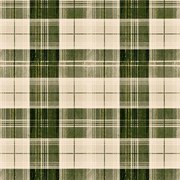 Ταπετσαρία Countryside Plaid Beechnut WP30010 Green MindTheGap 52x1000cm