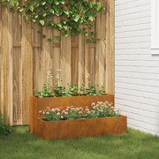 vidaXL Κήπος Σαφής 2-Επίπεδο 100x60x45 εκ. Ανθεκτικός Χάλυβας