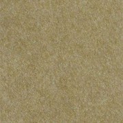 Μοκέτα Venus 415 Beige 200X