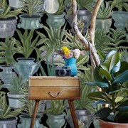 Ταπετσαρία Echeveria WP20163 Green-Black MindTheGap 52x300cm