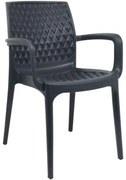 Πολυθρόνα Elite 875-123-036 54x54x90cm Anthracite