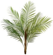Foliage - Branch Eladro Αρέκα 4000821-GR