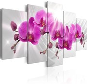 Πίνακας - Abstract Garden: Pink Orchids 100x50