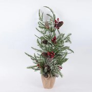 ΔΕΝΤΡΑΚΙ ΜΕ BERRIES KAI ΚΟΥΚΟΥΝΑΡΙΑ, 75cm