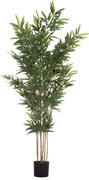 Διακοσμητικό Συνθετικό Φυτό BAMBOO C4736 σε γλάστρα 20x95x180Υεκ. 20x95x180 εκ.