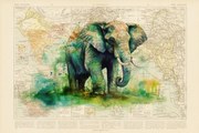 Εικονογράφηση Elephant, Thomas Chedeville