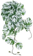 Τεχνητό Κρεμαστό Φυτό Albino Monstera 20606 45cm White-Green GloboStar Ύφασμα