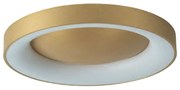 Φωτιστικό Οροφής - Πλαφονιέρα 77-8159 Led 60cm Amaya Brushed Gold Homelighting Αλουμίνιο,Ακρυλικό