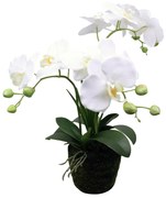 Supergreens Τεχνητό Φυτό Ορχιδέα Phalaenopsis Λευκό 42 εκ.