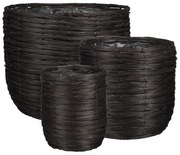 Κασπώ (Σετ 3τμχ) Edelman Cargo Black 1104229