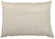Μαξιλάρι Ύπνου Μέτριο (50x70) Das Home Organic Cotton 1081 Βαμβάκι