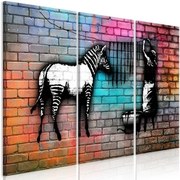 Πίνακας - Washing Zebra - Colourful Brick (3 Parts) - 120x80