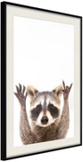 Αφίσα - Funny Racoon - 40x60 - Μαύρο - Με πασπαρτού