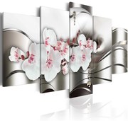 Πίνακας - The beauty of orchids - 100x50