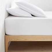 Σεντόνι με λάστιχο από βαμβακερό περκάλι με γύρισμα 40 εκ., Scénario