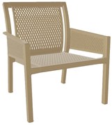 Gaber   Minush/L* Lounge Armchair  metax-01-00-1587 διάστ.65.5000 x 72.5000 x 79.5000