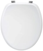 Καπάκι Λεκάνης (43x37) F-V Zinc White 138056I