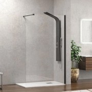 Πάνελ Ντουζιέρας Σταθερό Walkin 1 WAL1N100 Clear-Black Karag 100 x200 Αλουμίνιο