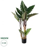 Τεχνητό Διακοσμητικό Φυτό Κολοκασία Artificial Garden RAINBOW TARO 20208 Globostar 20208 Πράσινο