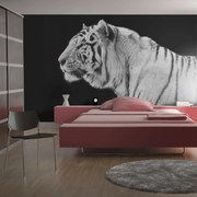 Φωτοταπετσαρία - White tiger 400x309