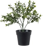 Τεχνητό Φυτό Buxus 20388 30cm Green Globostar Πολυαιθυλένιο