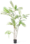 Τεχνητό Δέντρο Φοίνικας Chamaedorea 7790-6 230cm Green Supergreens Πλαστικό